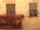 Golden Afternoon Provence France